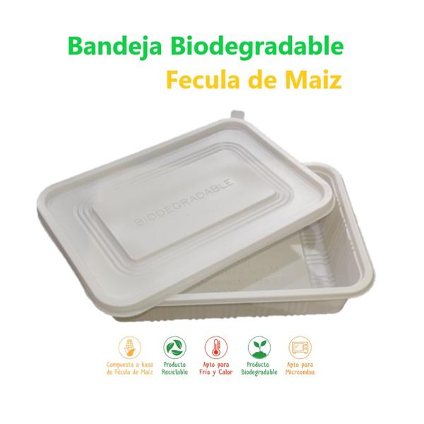 GEA Sustentable - 🤔¿Qué pasa con las bandejas de plástico de comida? ¿Se  reciclan en Buenos Aires? . 💡Si bien son de polipropileno (plástico n• 5  reciclable) las bandejitas de plástico siempre