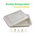 Bandeja biodegradable fecula de maiz Nº 103 con tapa x75