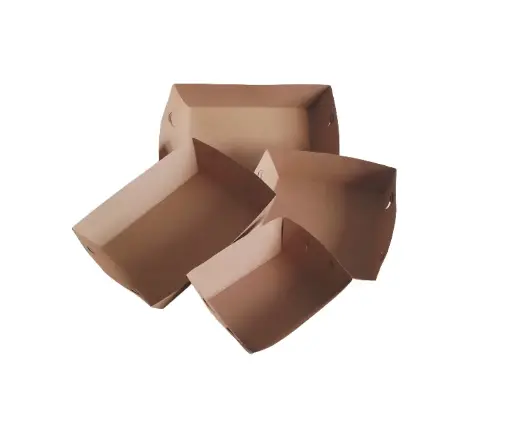 Bandejas food truck biodegradables x50 u. - medidas varias -